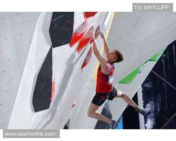 攀岩耐力实力榜单权威发布揭示顶尖选手竞技状态与潜力分析