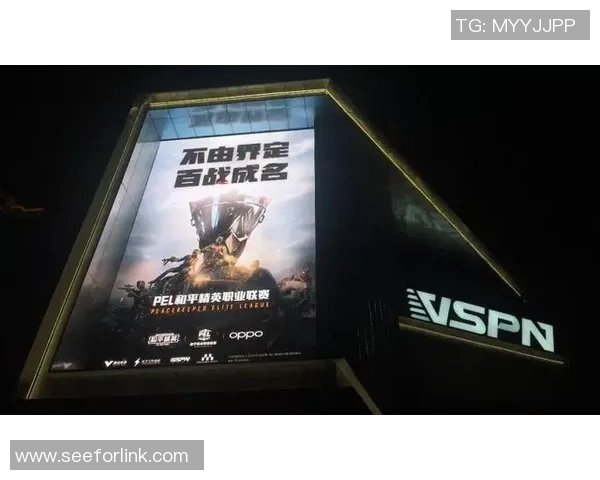 热议和平精英：WE战队状态转变背后的原因与未来展望