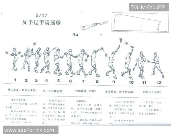 羽毛球的魅力与灵动：深入解析上海羽毛球队的训练与战术策略
